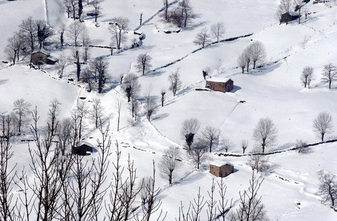 Archivo - Nieve