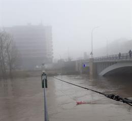 Imagen de la crecida del Ebro en Miranda en las últimas jornadas.