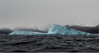 Cambio Climático