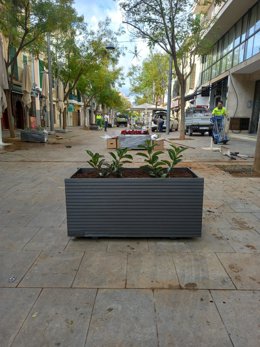 Jardineras en calle Fábrica, Palma.