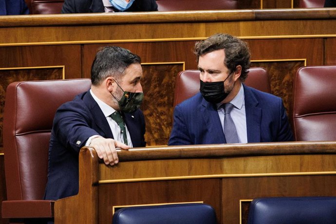El líder de Vox, Santiago Abascal (i) y el portavoz de Vox en el Congreso, Iván Espinosa de los Monteros (d), en una sesión plenaria en el Congreso 