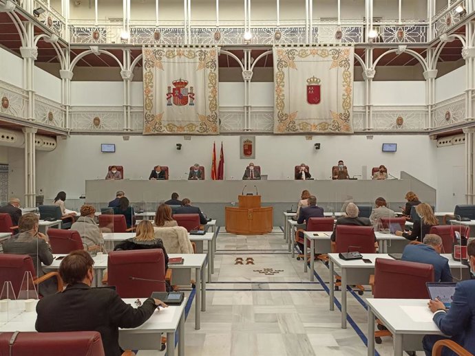 Comparecencia de Antonio Luengo, consejero de agricultura, sobre "la situación actual de las ayudas a agricultores y ganaderos en el marco de la PAC"