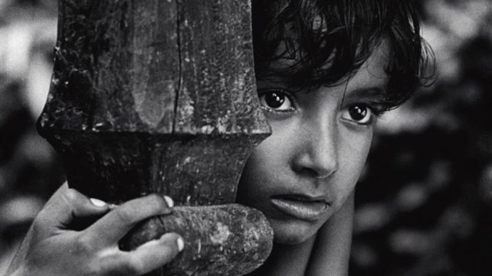 La Filmoteca de Valncia, en colaboración con la Filmoteca de Catalunya, presenta un ciclo dedicado al cineasta indio Satyajit Ray (1921-1992), con motivo del centenario de nacimiento.