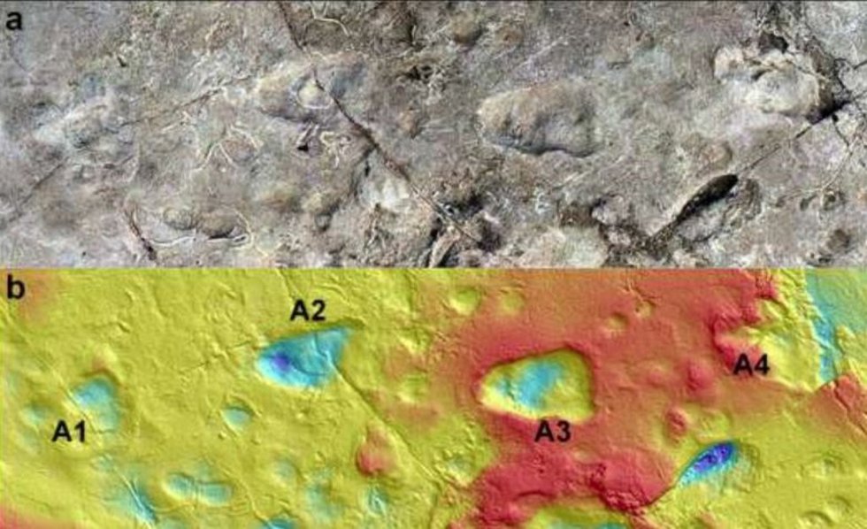 Modelo del sitio A de Laetoli usando fotogrametría que muestra cinco huellas de homínidos (a); y mapa de contorno correspondiente del sitio en Laetoli, Tanzania, generado a partir de un escaneo de superficie en 3D (b)