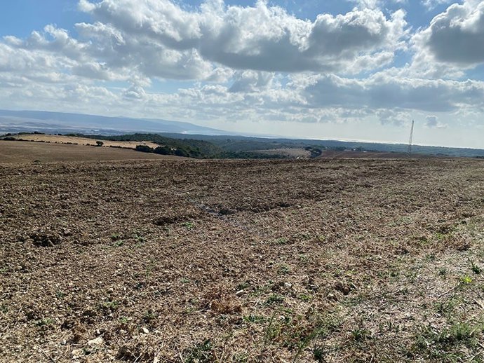 Una de las zonas de ubicación del proyecto Següesal Barbate.