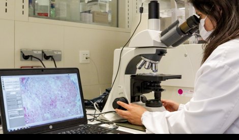 Investigación