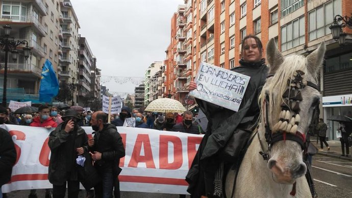 Cabecera de la manifestación convocada por Asturias Ganadera.