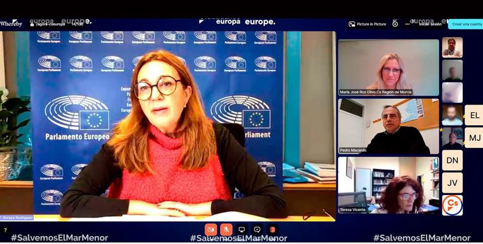Imagen de la videoconferencia de los responsables de Cs