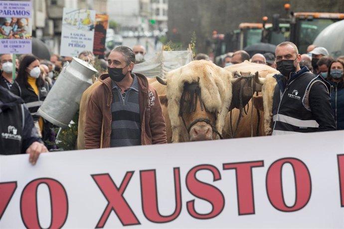 Dos ganaderos con sus vacas, durante una tractorada convocada por Agromuralla en Lugo para exigir mejor precio de la leche, a 4 de noviembre de 2021, en Lugo, Galicia (España). La tractorada en la que han participado 1.000 personas y 22 tractores, ha si