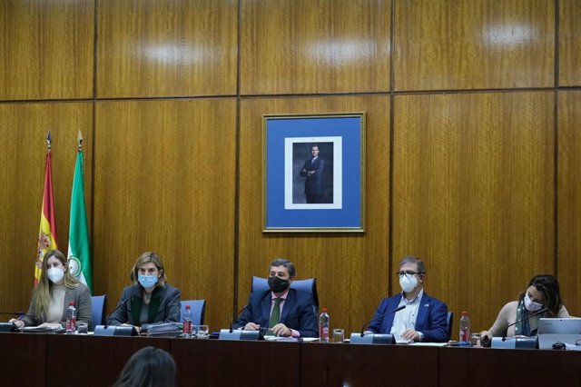 La consejera de Empleo (2i), en la comisión parlamentaria.