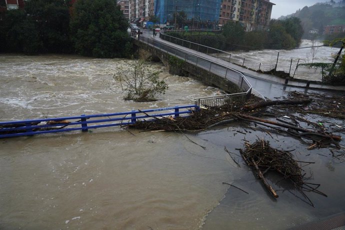 Varias ramas de árboles tras el desbordamiento del río Cadagua, a su paso por el municipio de Alonsótegui, a 29 de noviembre de 2021, en Alonsotegi (Bizkaia)
