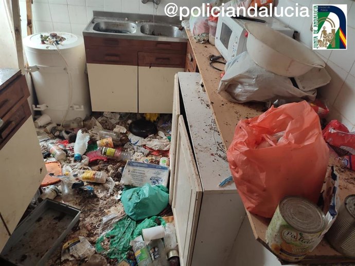 Estado de la cocina de la vivienda
