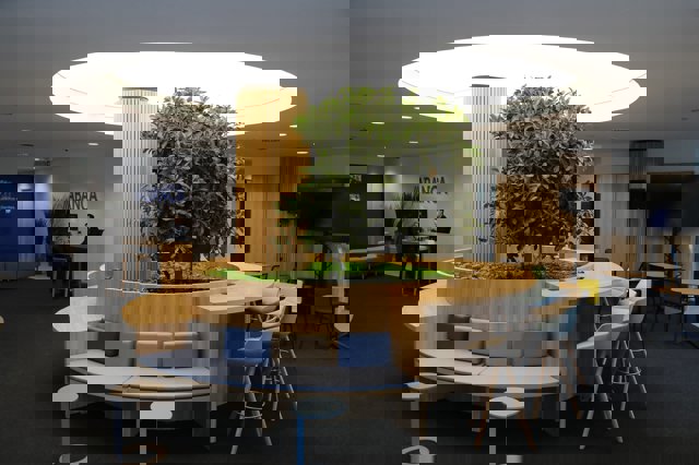 La nueva oficina cuenta con un espacio central abierto y polivalente, denominado 'espacio Raíces'