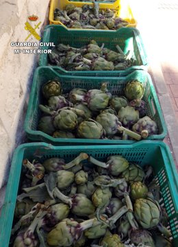 Alcachofas incautadas