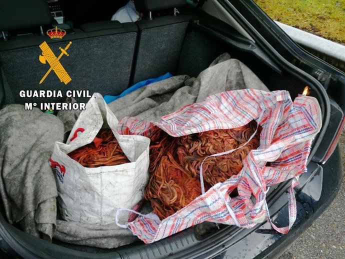 Imagen del cobre robado.