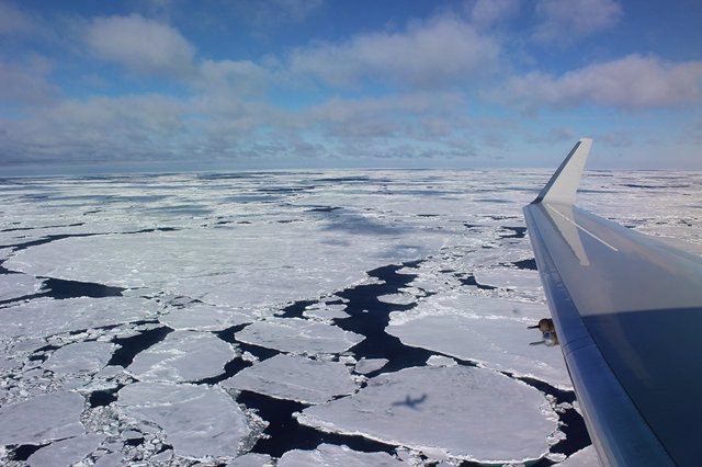 Archivo - El NCAR / NSF Gulfstream V proyecta una sombra sobre la zona de hielo marginal del Océano Austral durante la campaña de campo aerotransportada de ORCAS.