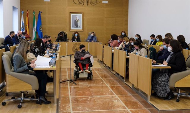 Lectura de la Declaración Institucional por el Día Internacional de las Personas con Discapacidad en el Pleno de la Diputación de Huelva celebrado este viernes.