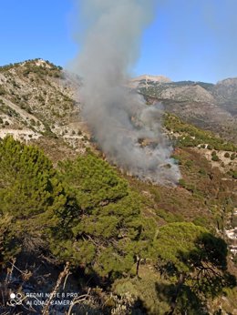 Declarado un incendio forestal en Cómpeta