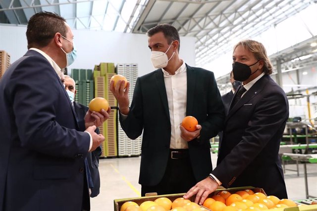 El presidente del Gobierno, Pedro Sánchez, ha visitado este domingo en Murcia las instalaciones de Frutas y Cítricos de Mula SCL