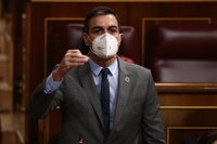 El PSOE lamenta que algunos utilicen la Constitución como un "instrumento de exclusión" porque "violenta su espíritu"