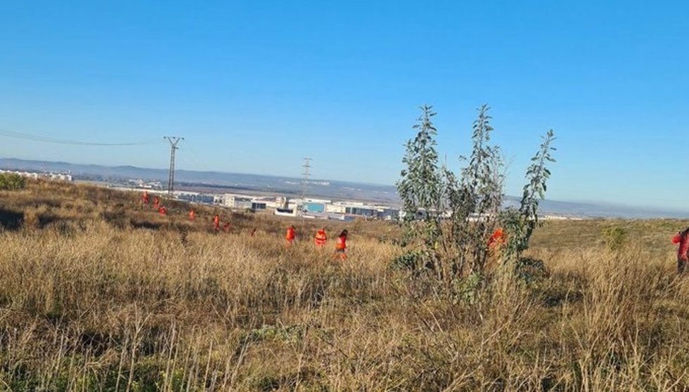 Voluntarios de Cruz Roja en el dispositivo de búsqueda de Pablo Sierra.