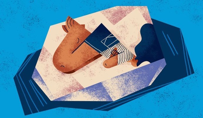 Adjunta, la ilustración utilizada para promocionar el evento por la TU Dublin.