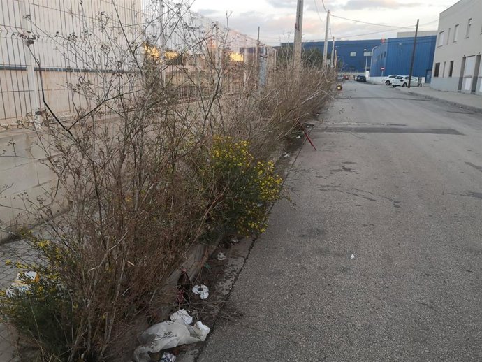Calle de Palma con hierbas.