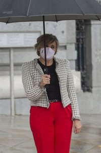 Vox contesta a Almeida que prorrogar no es una tragedia porque "retraso en alguna cosa sería de un mes, dos como mucho"