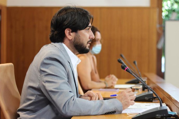 El diputado Ismael Sánchez, de Unidas Podemos por Andalucía.