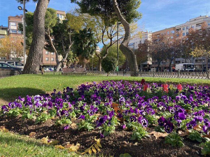 La Concejalía De Sostenibilidad Lleva A Cabo La Plantación Invernal De Flor En Parques Y Calles Para La Que Se Utilizarán 122.250 Plantas De Distintas Especies.