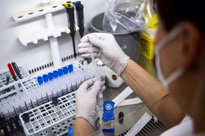 29 November 2021, Czech Republic, Trutnov: An employee of the microbiological laboratory of the Trutnov Hospital evaluates tests for COVID-19. 