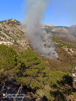 Declarado un incendio forestal en Cómpeta