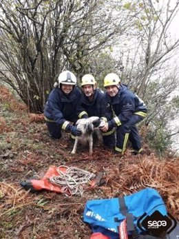 El perro 'Magic' con los bomberos que le rescataron