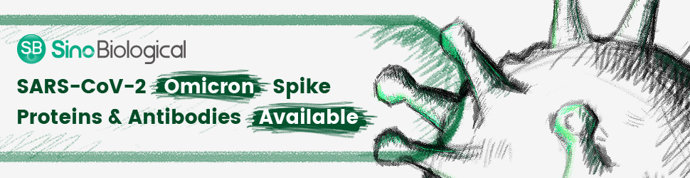 Sino Biological newly launched a panel of research reagents for SARS-CoV-2 Omicron variant (B.1.1.529), including includes recombinant Omicron Spike proteins (RBD, S1, and S-ECD trimer), monoclonal antibodies recognizing the Omicron Spike protein, and t