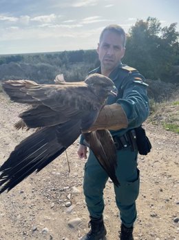 Uno de los agentes posa con el águila rescatada