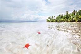 Silversea propone viajes en alta mar en Navidad y Nochevieja