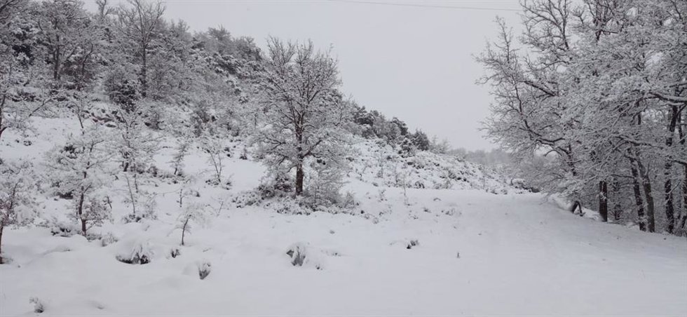 Archivo - Nieve en Euskadi