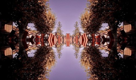 Comunicados Internacional