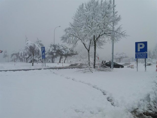 Archivo - Nieve