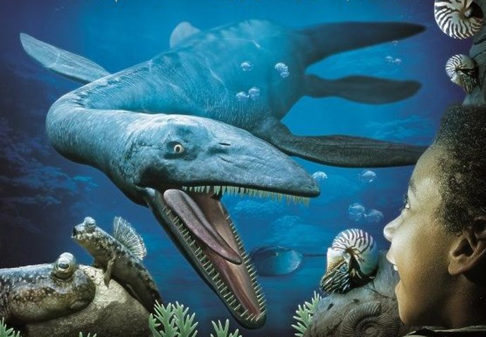 Recreación de una parte del recorrido temático 'Mar Jurásico' de Dinópolis, que comienza su ejecución y estará terminado en 15 meses.