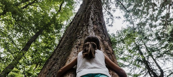 Se trata de la 'Convocatria de Medi Ambient 2021', dotada con 30.000 euros y a la que se han presentado hasta ocho iniciativas