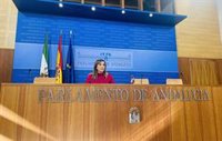 PSOE-A denuncia "pacto entre Moreno y Vox" para aprobar una Ley de Concordia que "tumba" la Ley de Memoria