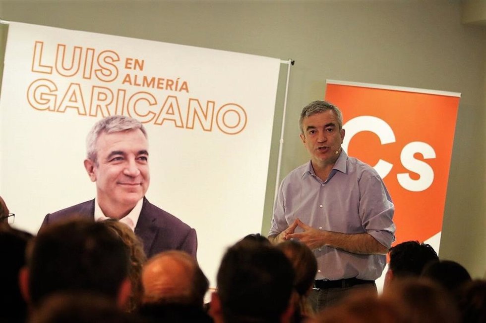 Archivo - El líder de Ciudadanos en el Parlamento Europeo, Luis Garicano.