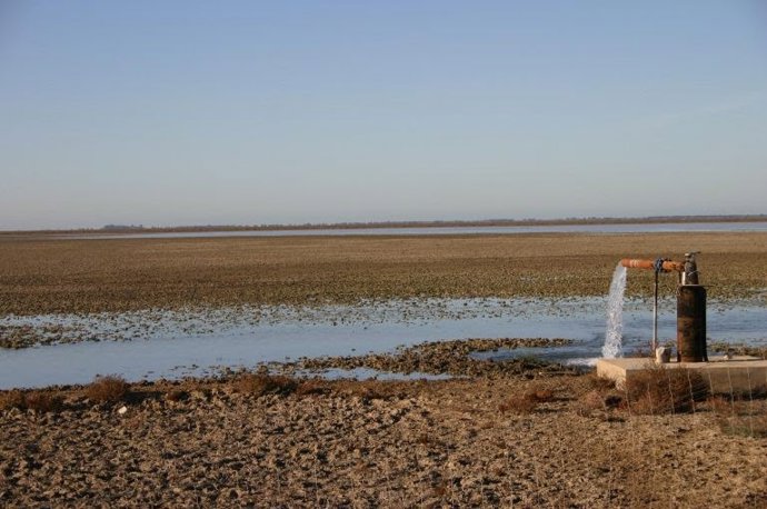 Archivo - UE.- SEO/Birdlife considera la sentencia sobre Doñana un "espaldarazo" a las denuncias durante décadas de las ONG