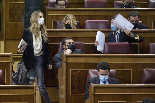 La exportavoz del Grupo Popular en el Congreso Cayetana Álvarez de Toledo.