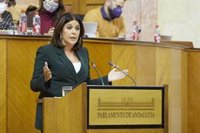 Férriz critica que "Moreno ha empezado a plegarse a Olona" y lamenta la "mala noticia" que supone la Ley de Concordia