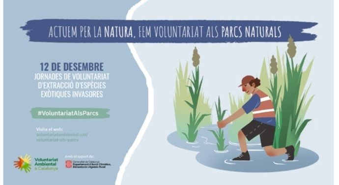 Activitats del Dia del Voluntariat