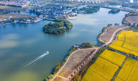 Comunicados Internacional