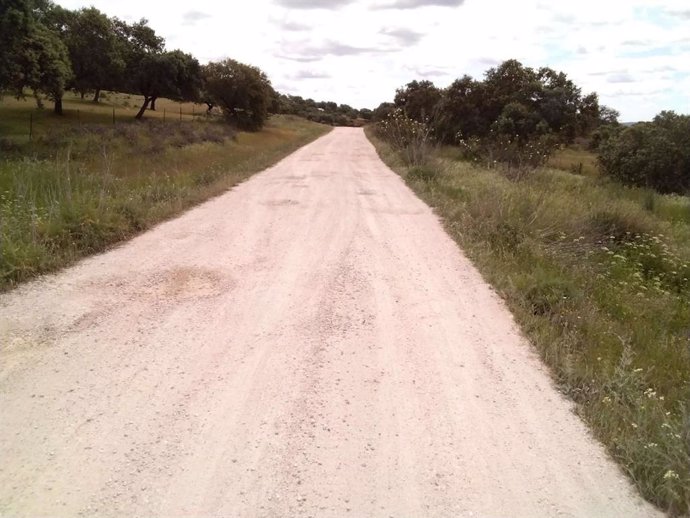 La Junta destina casi 1,5 millones en caminos forestales de la provincia de Sevilla