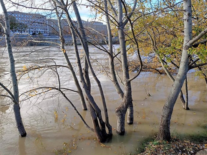 El Ayuntamiento coloca diques de contención en las zonas inundables de Movera por la crecida del Ebro.